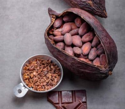 Organic cocoa beans. Ingredient for preparation chocolate on gray wooden table with copy space.